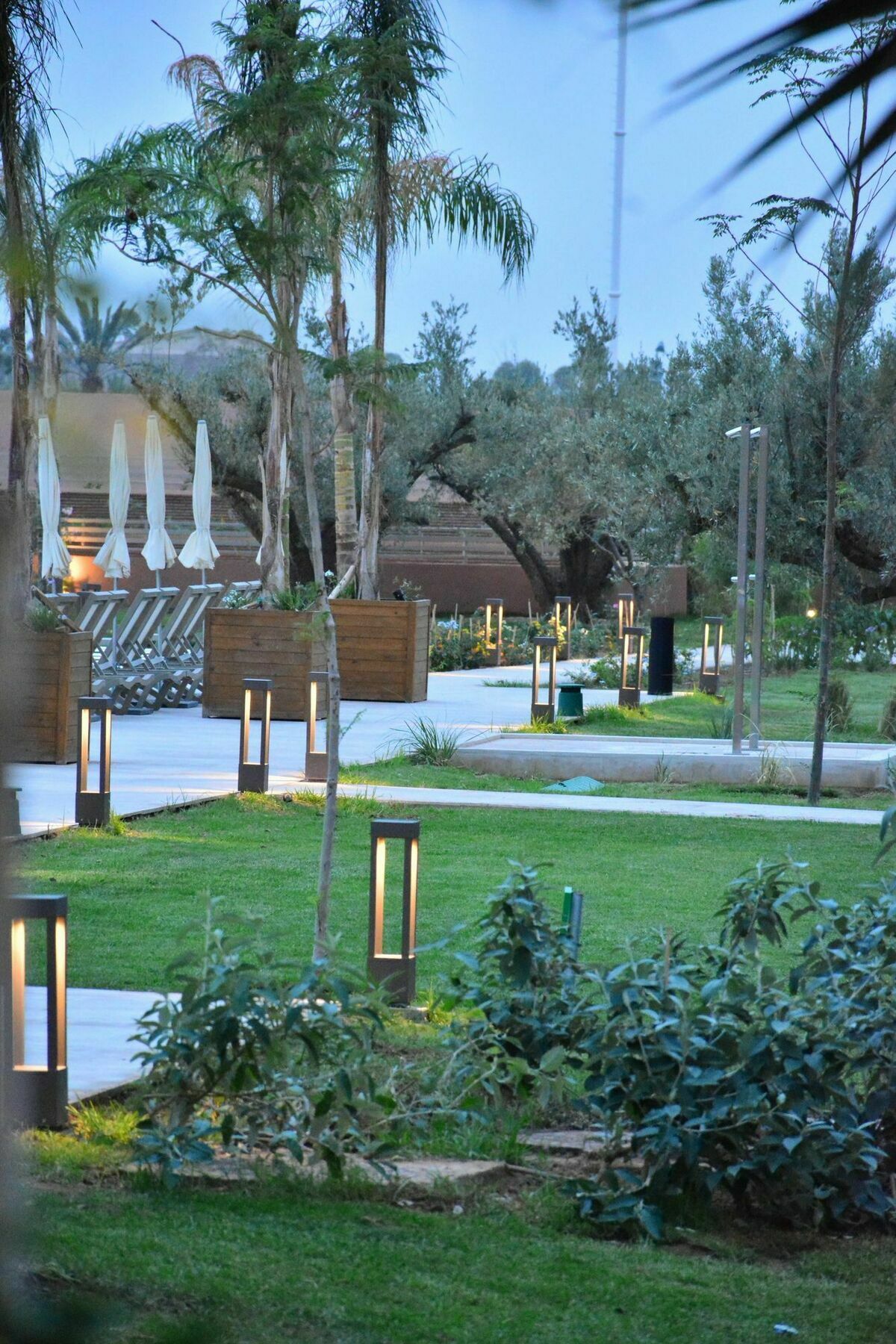 Be Live Experience Marrakech Palmeraie Marakeş Dış mekan fotoğraf